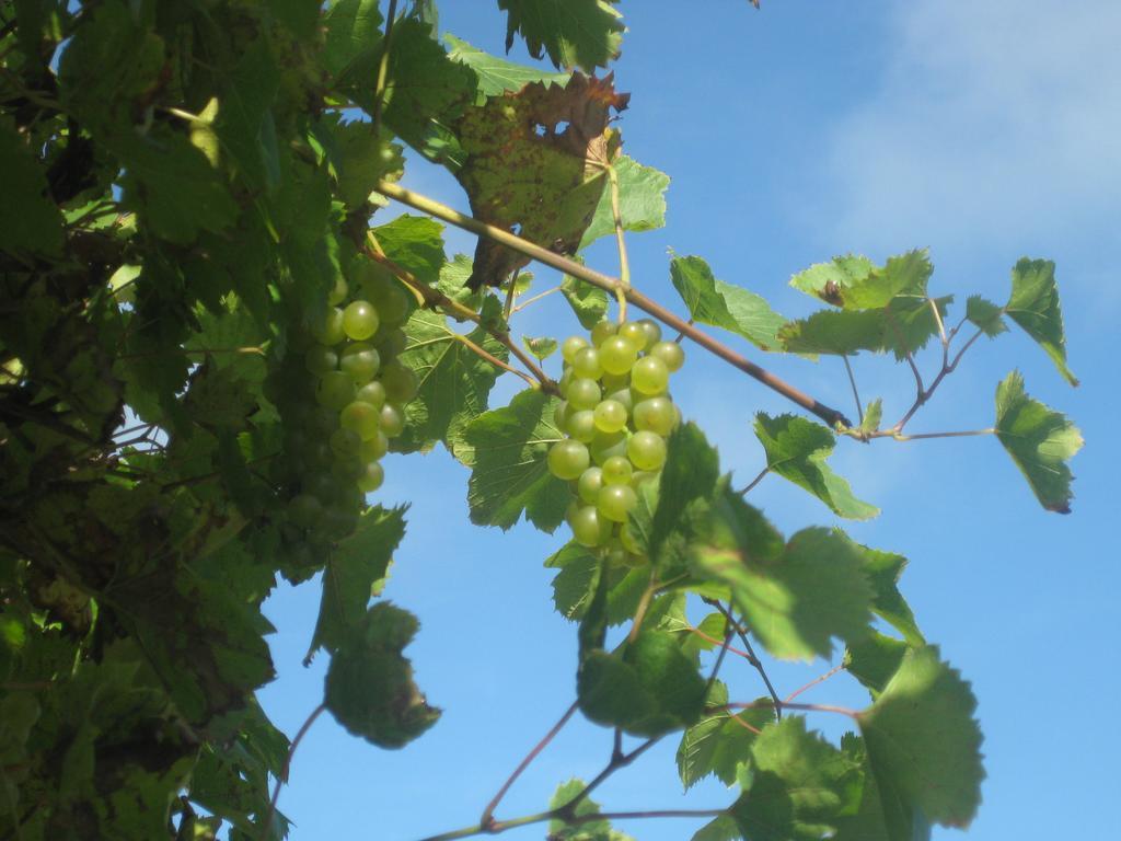 ホテルGasthof Muhr Wirt Z'Bierbaum Gampern エクステリア 写真